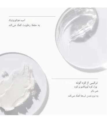 ترکیبات کلیدی لیپ گلاس بلک هانی کلینیک CLINIQUE Black Honey